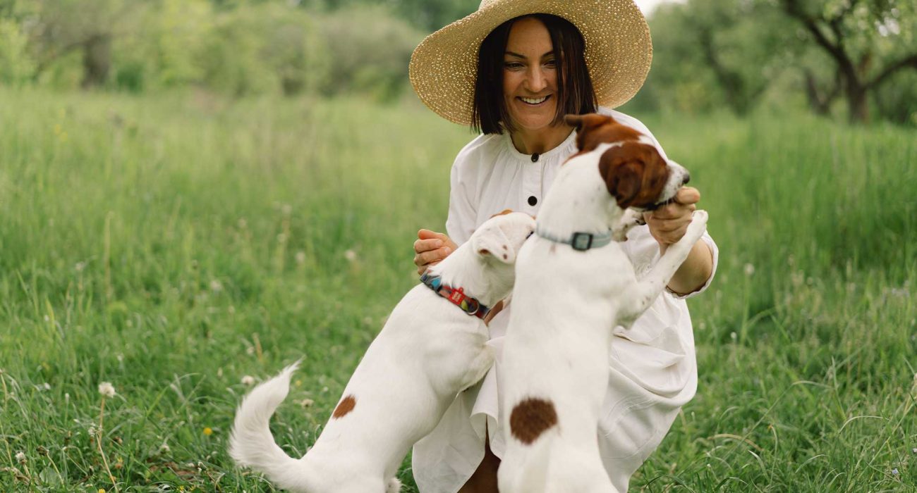 woman-play-jack-russell-terrier-dog-in-meadow-wom-2022-11-11-17-49-56-utc